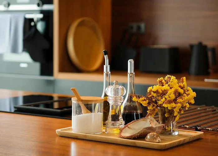 Aljube Residences Duplex 公寓