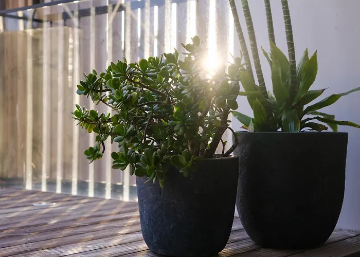 公寓 Aljube Residences Duplex 蓬塔德尔加达